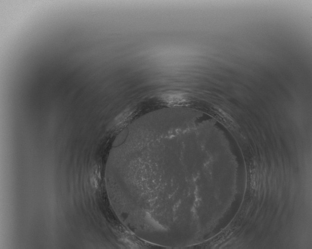 X0000060260618200511041351