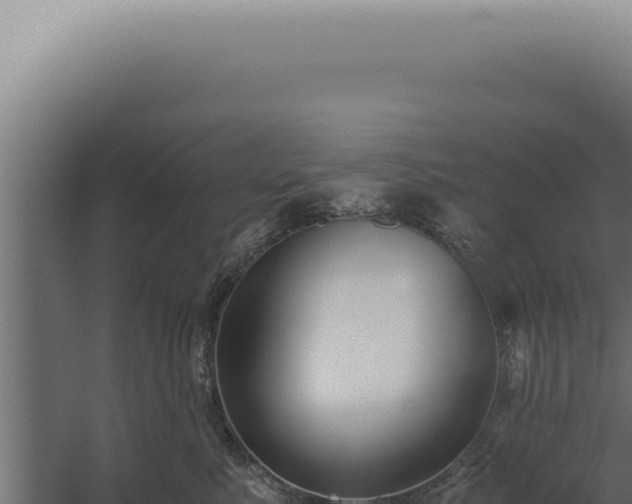 X0000060260619200511041351