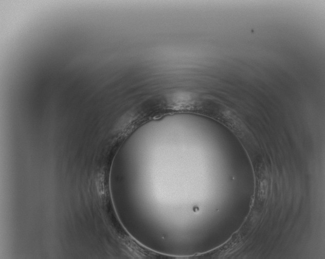 X0000060260620200511041351