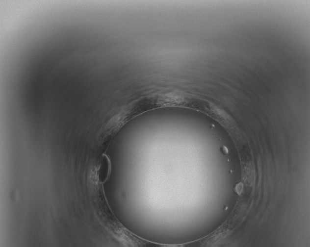 X0000060260621200511041351