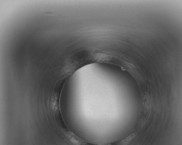 X0000060260622200511041351