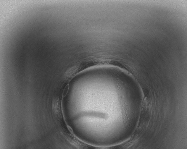 X0000060260623200511041351