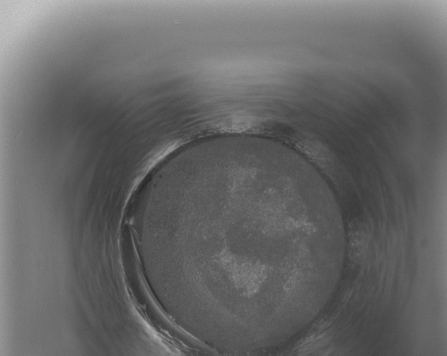 X0000060260626200511041350