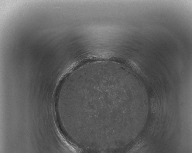 X0000060260634200511041350