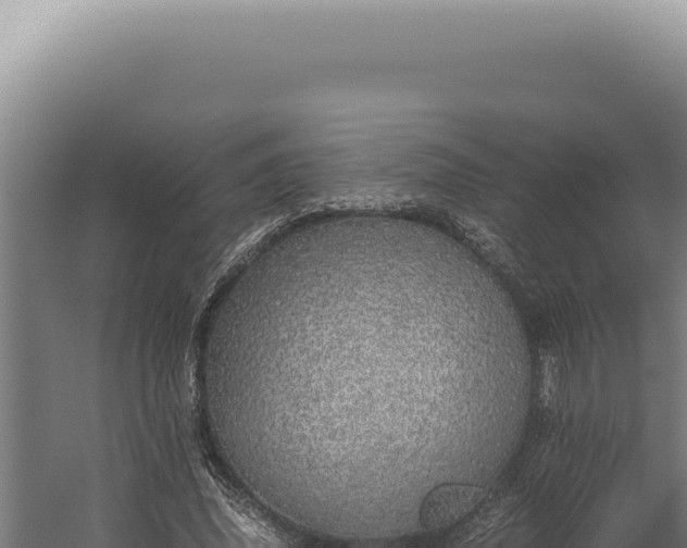 X0000060260636200511041350