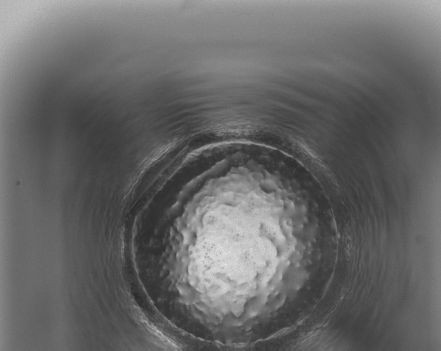 X0000060260637200511041350