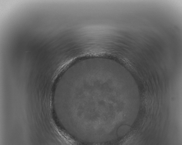 X0000060260640200511041350