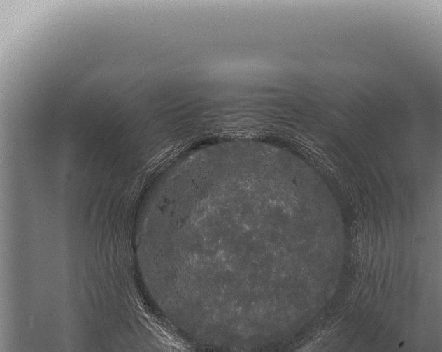 X0000060260641200511041350