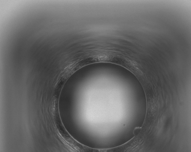 X0000060260645200511041350