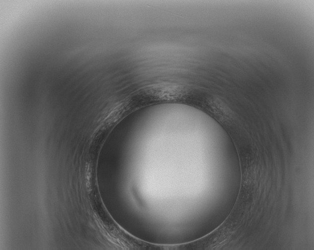 X0000060260646200511041350