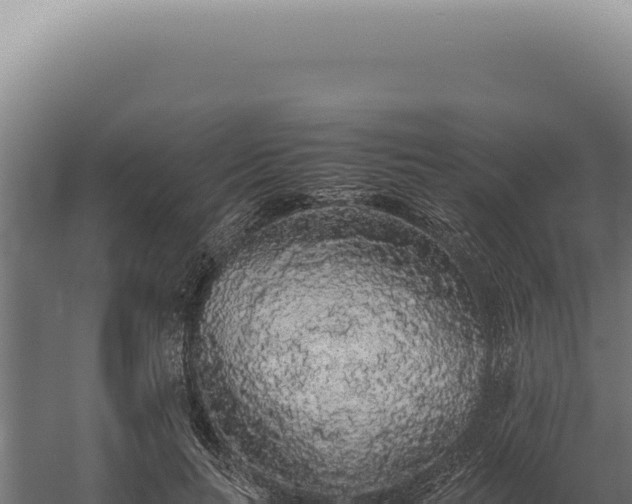 X0000060260647200511041350