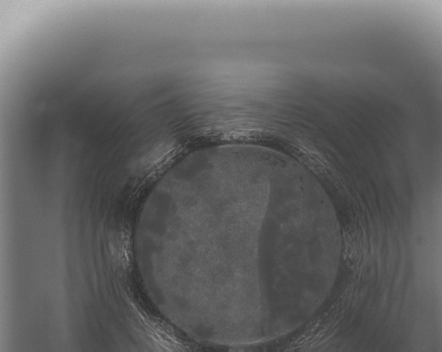 X0000060260648200511041350