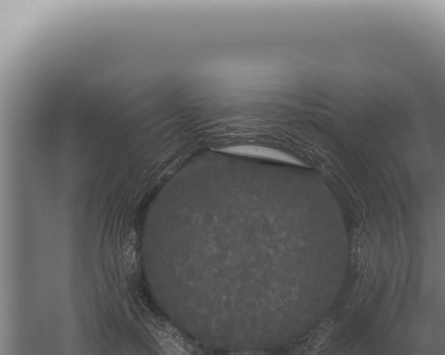 X0000060260650200511041350