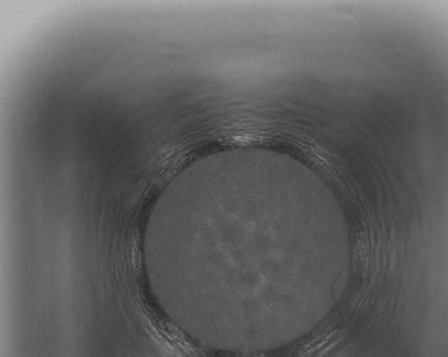 X0000060260651200511041350