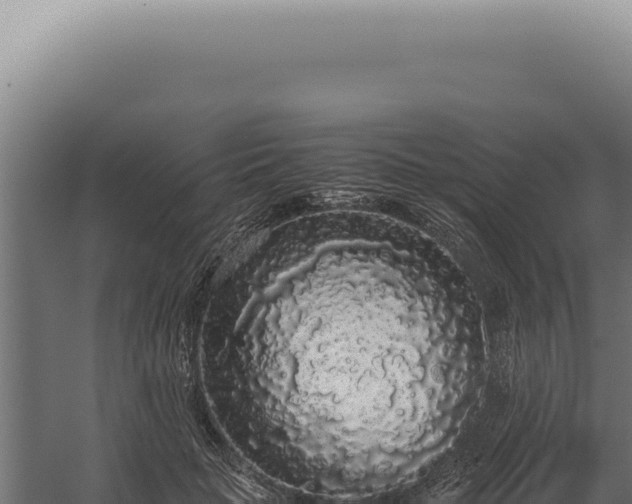 X0000060260653200511041350