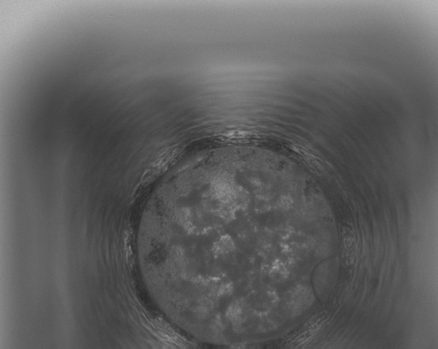 X0000060260654200511041350