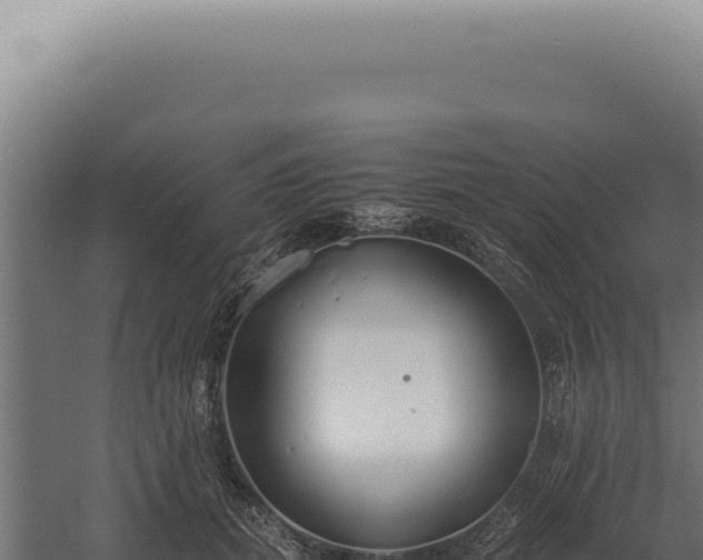 X0000060260655200511041350