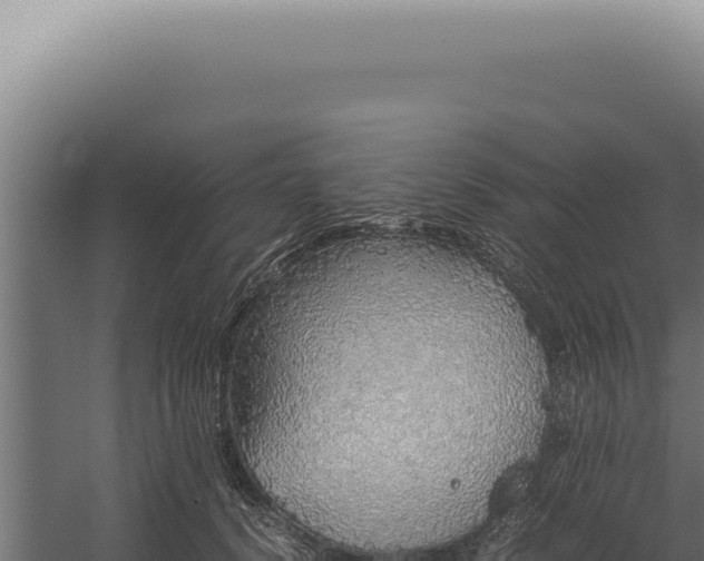 X0000060260656200511041350