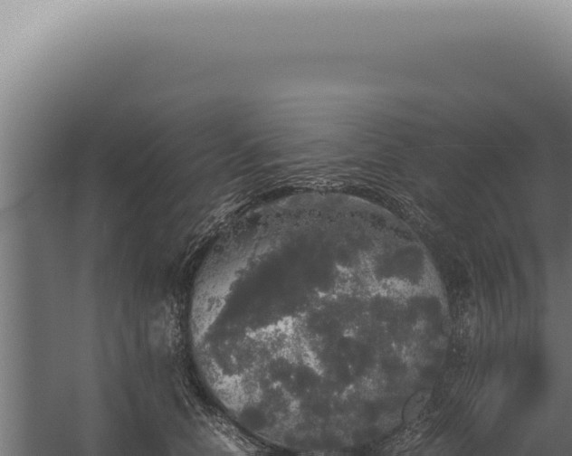 X0000060260658200511041350