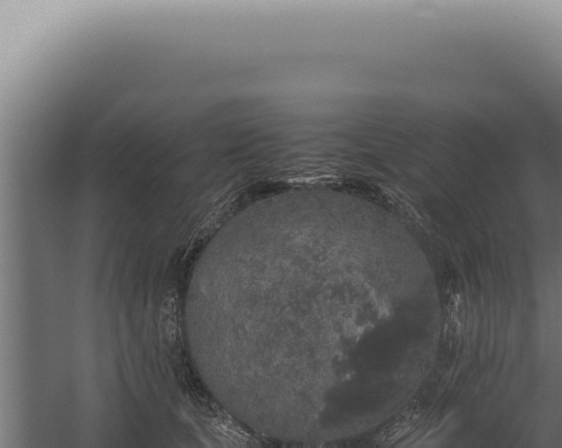 X0000060260659200511041350