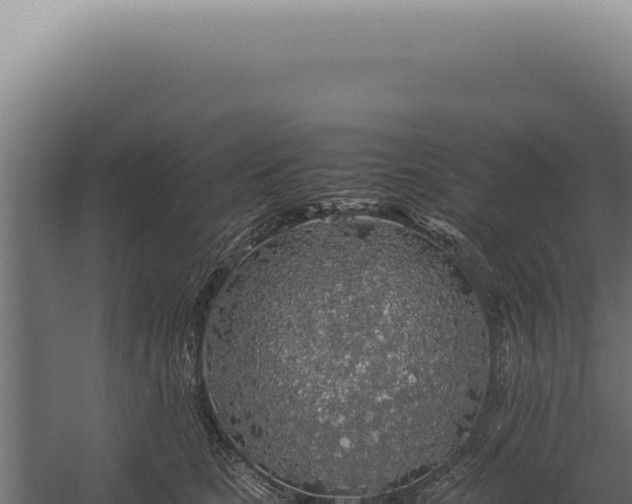 X0000060260661200511041350