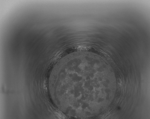 X0000060260663200511041350