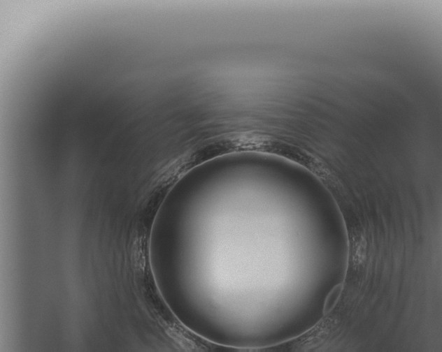 X0000060260666200511041351