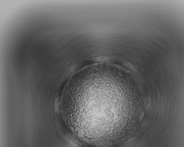 X0000060260669200511041351