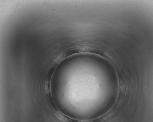 X0000060260670200511041351