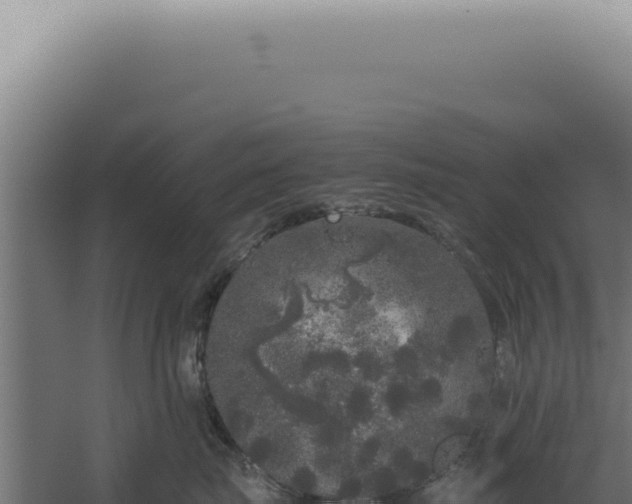 X0000060260671200511041351