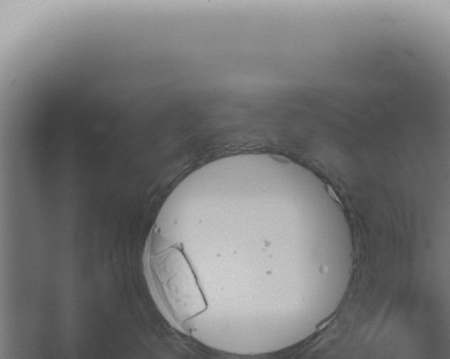 X0000060260672200511041351