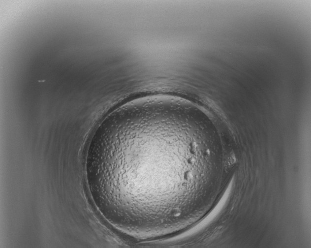 X0000060260673200511041350