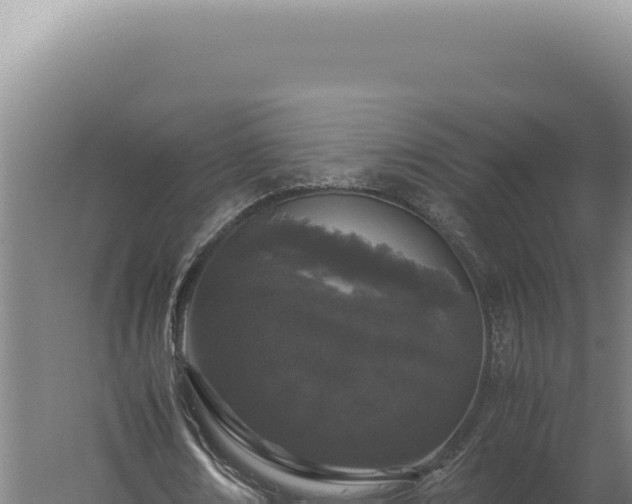 X0000060260674200511041350