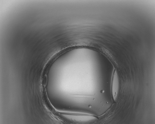 X0000060260676200511041350