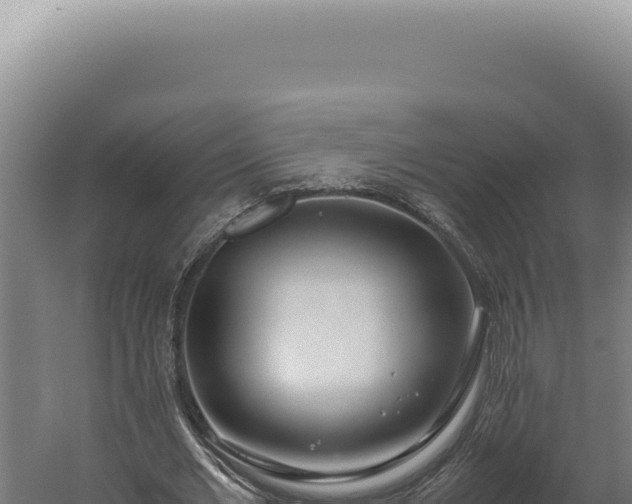 X0000060260677200511041350