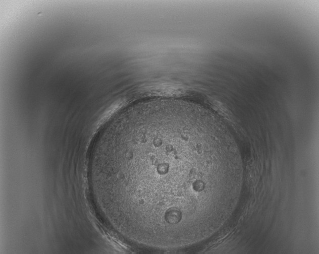 X0000060260679200511041350