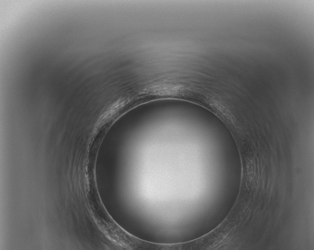 X0000060260682200511041350