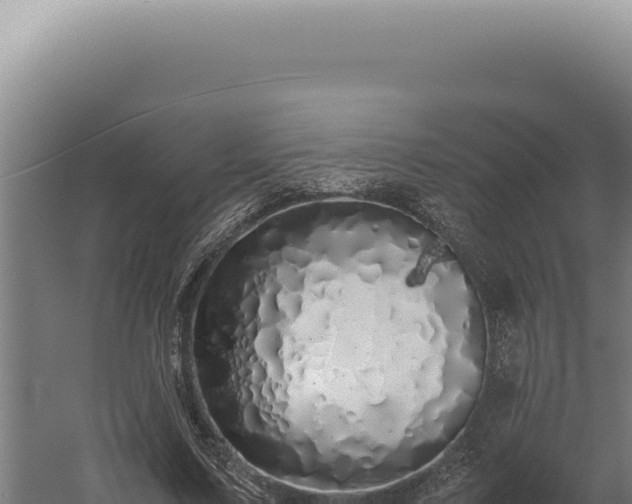 X0000060260683200511041350