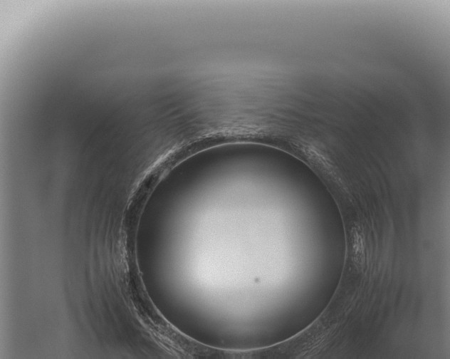 X0000060260684200511041350