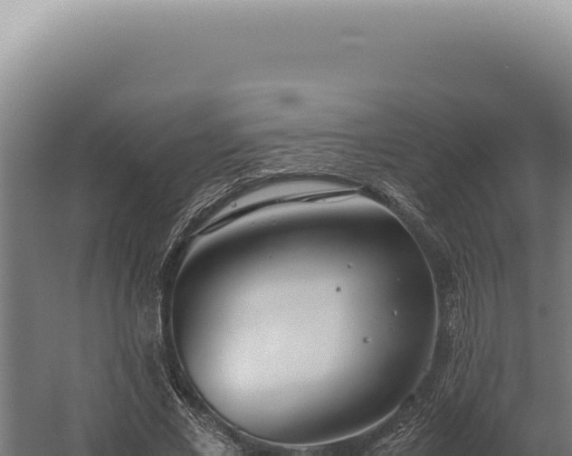 X0000060260685200511041350