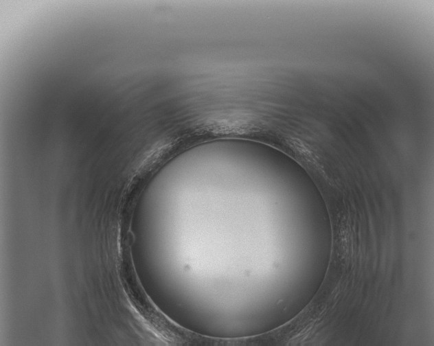 X0000060260686200511041350