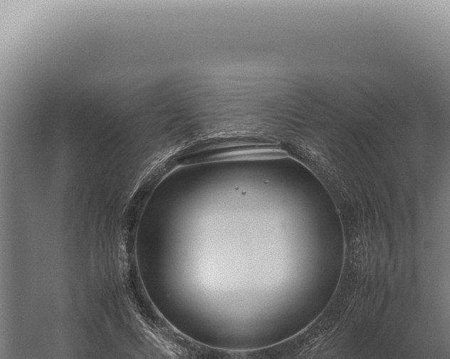 X0000060260688200511041350