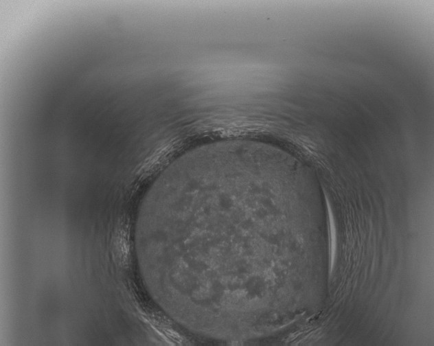 X0000060260691200511041350