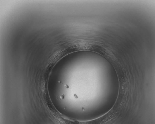 X0000060260693200511041349