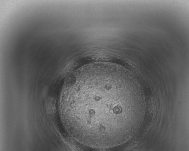 X0000060260695200511041349