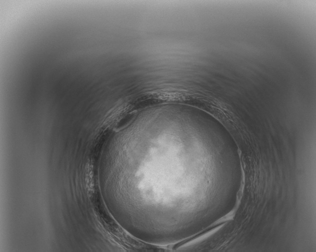 X0000060260696200511041349