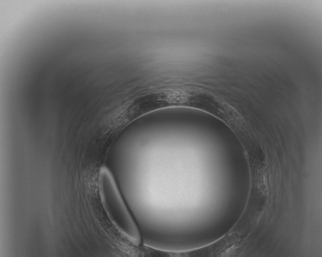 X0000060260697200511041349