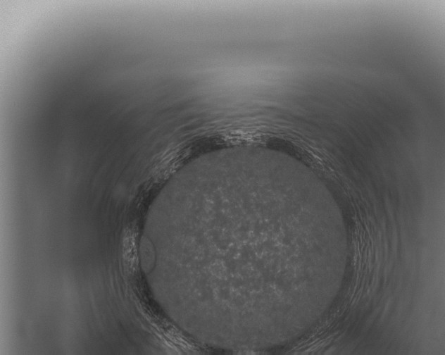 X0000060260699200511041349