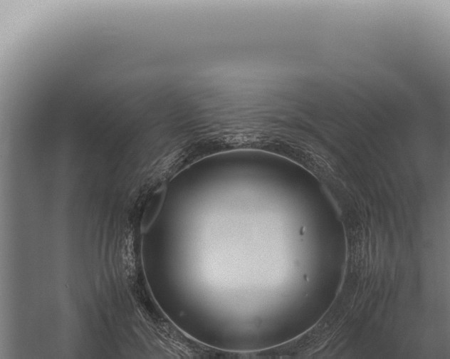 X0000060260700200511041349