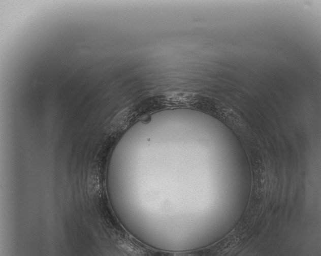 X0000060260706200511041349